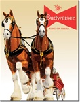 Bud Clydesdale Team Tin Signs