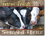 Farm Fresh Milk 