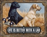 Better with a lab