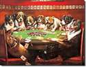 8 Drunken Dogs Playing Cards tin signs